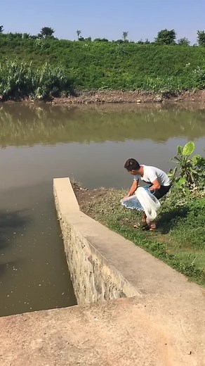 4.7M views · 79K reactions | Catching Fish Using Cast Net Fishing / Net Catch Fishing #Reels #fishing #skill #castnetfishing | Daily Discovery | Facebook