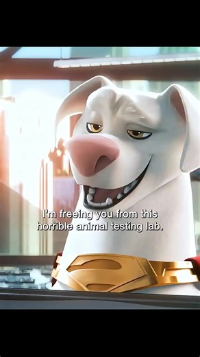 Fun and Engaging Cartoon Adventures for Everyone