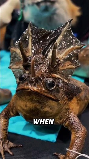 Meet the mutant frog.
