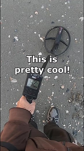 detectormoe on TikTok