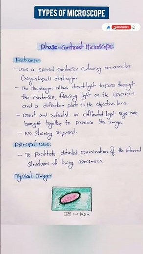 Types of Microscopes || Medi Queries