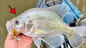 Early Spring CRAPPIE FISHING SmashFest!