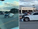 Video: Footage captures man who jumps on hood of a car to avoid hit and run | Daily Mail Online