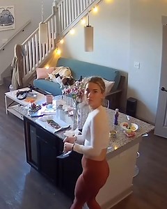 It’s raining cats, literally 🤣 | Furry Tails