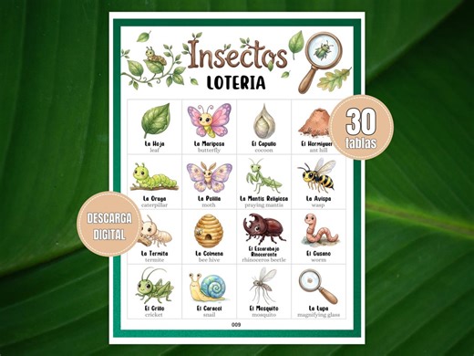 Bug Bingo Printable, Bilingual Insect Loteria for Kids, 30 Unique Cards, Nature Classroom Game - Etsy