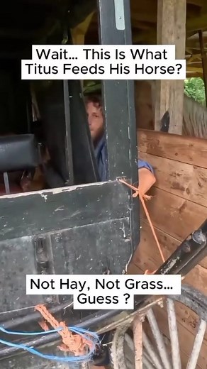 83K views · 3.5K reactions | 勞 . . .#amishtiktok #amishbuilt #amish #amishcountry #amishlife | Amish Life | Facebook