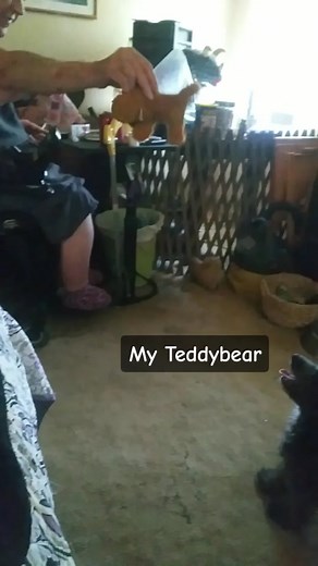 Sandy Davis (@sandydavis82)’s videos with original sound - Sandy Davis