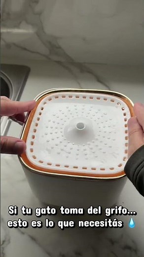 Cómo armar la fuente de agua para gatos 💧 🐱Tu gato no toma agua? Esto lo soluciona 👇