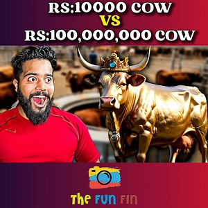 66K views · 668 reactions | Rs:10000 COW VS Rs:100,000,000 COW | The Fun Fin | Facebook