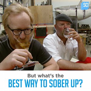 MythBusters: Alcohol Myths Minimyth