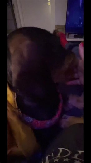 Videos de PippoMo (@pippomo6) con “Somethin' Stupid - Robbie Williams & Nicole Kidman”