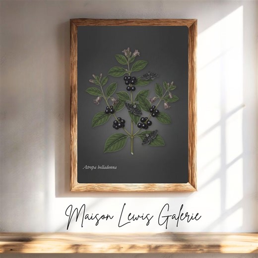 Atropa Belladonna – Deadly Nightshade, Vintage Botanical Print, Toxic Plant Wall Art, Witchy Decor, Poison Garden Illustration - Etsy