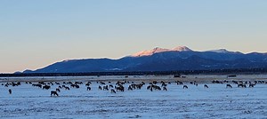 88 reactions · 17 comments | Heather Storm on Reels | Facebook