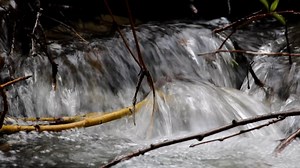River, Waterfall, Stream. Free Stock Video