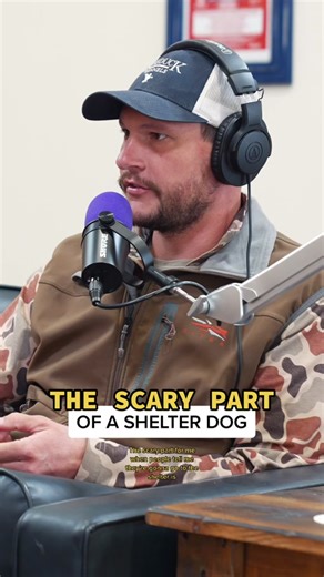 Responsible Dog Ownership: A Comprehensive Guide