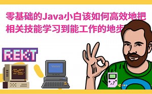 零基础的Java小白该如何高效地把相关技能学习到能工作的地步？