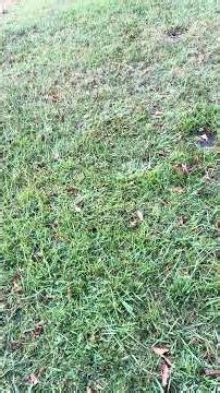 Charles “Bush” McCloud, the man who admitted fault,while denying culpability.