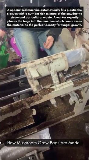 How mushroom grow bags are made