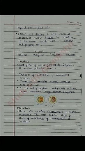 Class 11 Biology | Cell cycle and cell division handwritten notes | NCERT | CBSE | NEET | BSEB | JEE