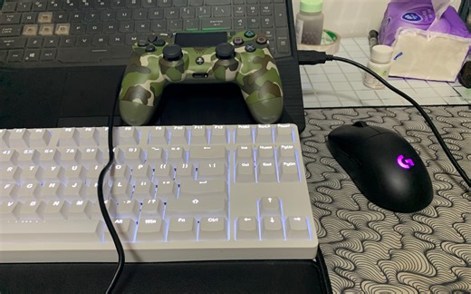 用Ds4windows ds4手柄被隐藏，电脑无法识别手柄 解决办法