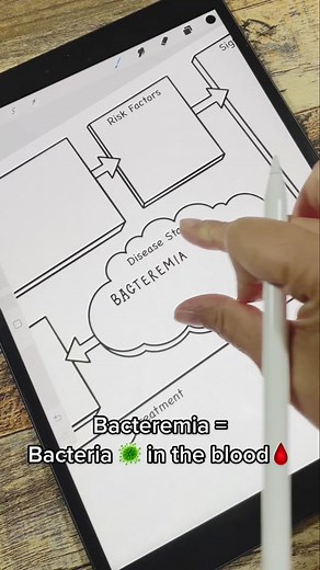 Understanding Bacteremia: A Comprehensive Overview