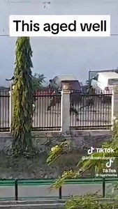 PNG GONE VIRAL on Reels