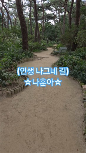 #나훈아 #나훈아노래 #꽃 #나훈아노래모음 #트로트