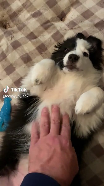 Colby n Casey on TikTok