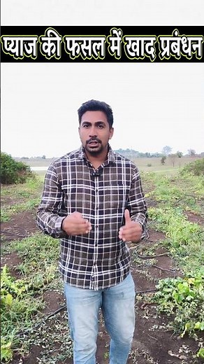 प्याज में बैसल डोज | प्याज बुवाई के समय कौन सी खाद डालें | pyaj me buvai ke Samay kaun si khad dalen