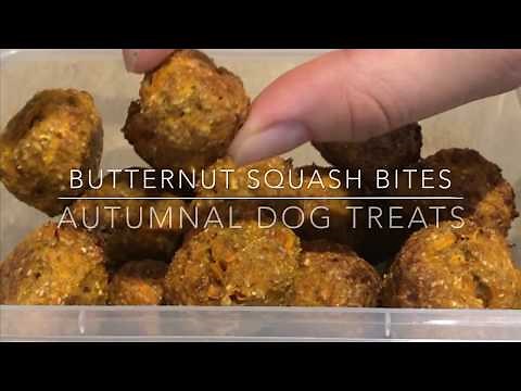 Homemade Dog Treats: Butternut squash bites