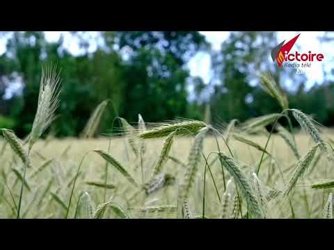 Radio Télé Victoire en direct depuis RD, soyez bénis !