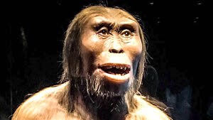 Lucy Was Discovered 50 Years Ago and She Continues to Be an Evolutionary Treasure Trove for Scientists