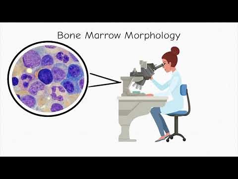 Let's Talk About Bone Marrow Morphology and Flow Cytometry