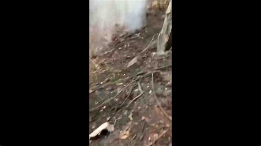 Ghana Air Force helicopter crashes killing eight including ministers