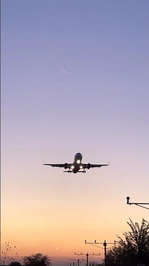 Track ANY Flight in Real-Time! ✈️ (Live Plane Tracker) #flighttracker #flighttracking