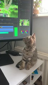 10K views · 54 reactions | He just couldn't wait for the final edit! The Ultimate Shallow Rig – Jigger Float Fishing Explained 勞 LIVE NOW. 李 Watch Here  https://bit.ly/3NXvhlo #AnglingDirect #GettingEveryoneFishing #ADTV #TeamAD #MatchMasterClass | Angling Direct | Facebook