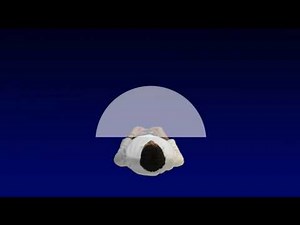 Bioptic Driving USA - How Bioptics Work