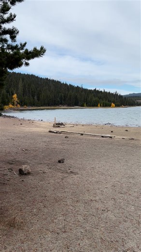 Odee and I went to the beach at Elk Lake along the Cascade Lakes Scenic Byway. We had it all to ourselves! | Matthew H Irvin, Photographer/Writer