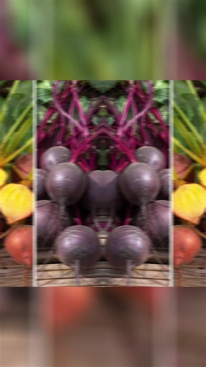 🌿 #Beetroot Colour Mix - Sweet & Colourful Garden #Seeds Sweet & Colourful: This garden seed mix offers a delightful blend of sweetness and vibrant colors. Perfect for adding a touch of charm to your allotment. 🌈 Easy to Grow: These seeds are designed for easy cultivation, making gardening accessible for beginners and experienced gardeners alike. 🌱 MAX FILL: The MAX FILL option allows you to fill your garden spaces efficiently, creating a lush and colorful garden. 🌿 🌟 Perfect for Allotments