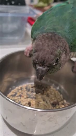 Throwback to 1st September when we finally moved into our very first home during our boy's gotcha d