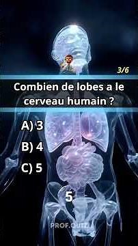 Quiz Anatomie : Décrypte les Systèmes du Corps Humain ! 💓