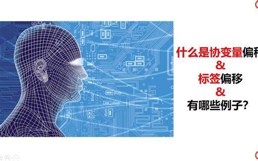 25-什么是协变量偏移和标签偏移-具体有哪些例子?-基于pytorch