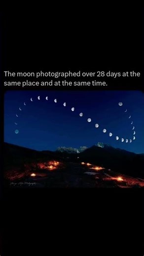 Moon's 28-day cycle, same time and place. 🌒🌕🌘 #MoonCycle #LunarPhases #Astrophotography