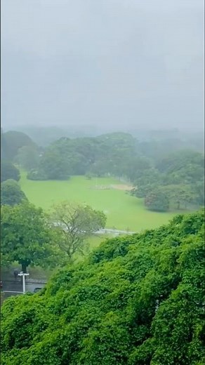 💚💙UOP💙💚 #kandy #peradeniya #universityofperadeniya #srilanka #nature #shorts #university