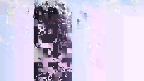 DNA test results reveal surprising and upsetting details about farm dog