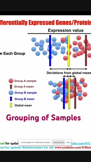 Grouping of Samples #shorts #viralvideo #reels #india #hindi #ai #science #biology #coding