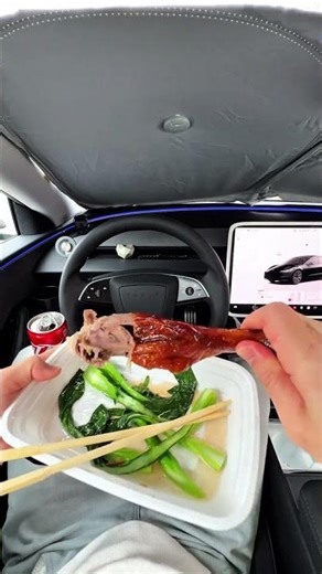 吃完烧鹅腿，立马入睡的快感 #automobile #焕新版model3 #food #熱門 #funny #korean #我与汽车的日常