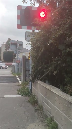 Beccles (Grove Road) Level Crossing | Suffolk | 29/9/25