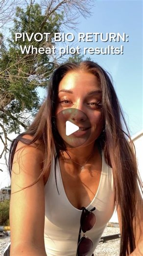 Grayce Emmick on Instagram: "Pivot Bio Wheat Plot Results!!! Check #1: untreated, full rate of nitrogen – 118.4 bu/acre Check #2: untreated, cut rate of nitrogen – 115.5 bu/acre Check #3: treated with Pivot Bio RETURN, cut rate of nitrogen – 116.0 bu/acre Check #4: treated with Pivot Bio RETURN, full rate of nitrogen – 117.8 bu/acre What do you make of these results?! Let me know!"