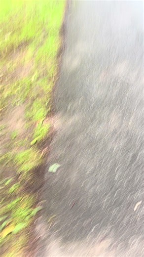 car boxing (@car.boxing)’s videos with الصوت الأصلي - Blue tech mobile 📱